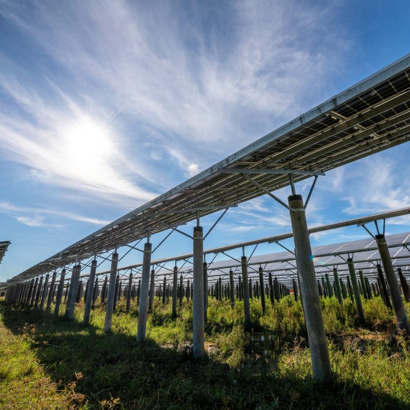 Large-scale solar farm under a bright sky, highlighting the power of photovoltaic energy.